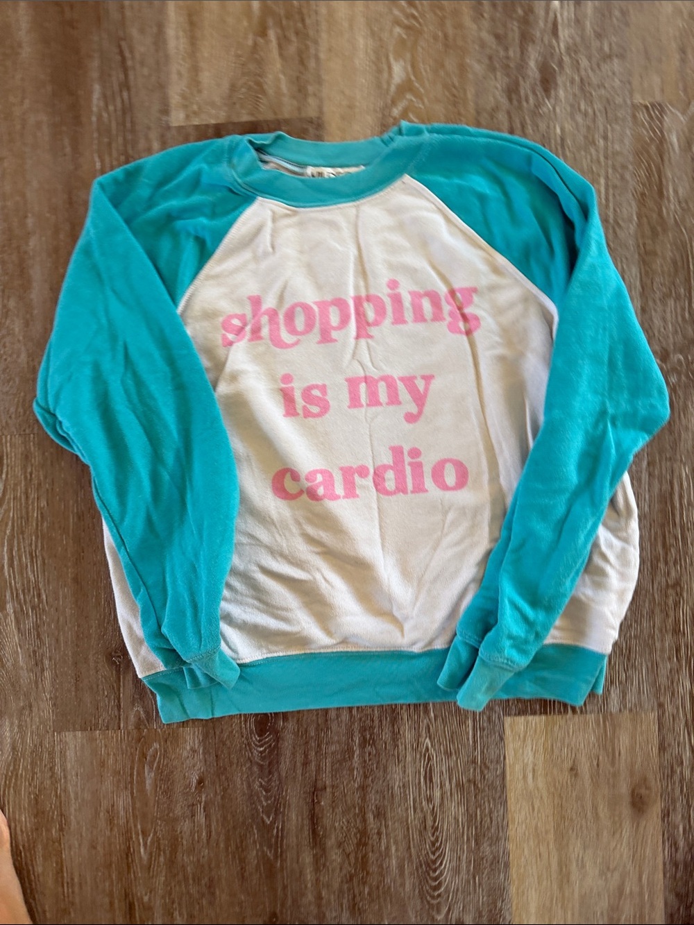 Wildfox Teal and White Raglan Sweatshirt with Pink Slogan